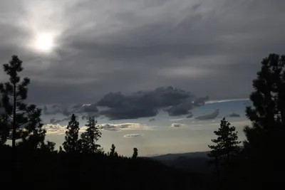 DSC_4497 (Large).JPG